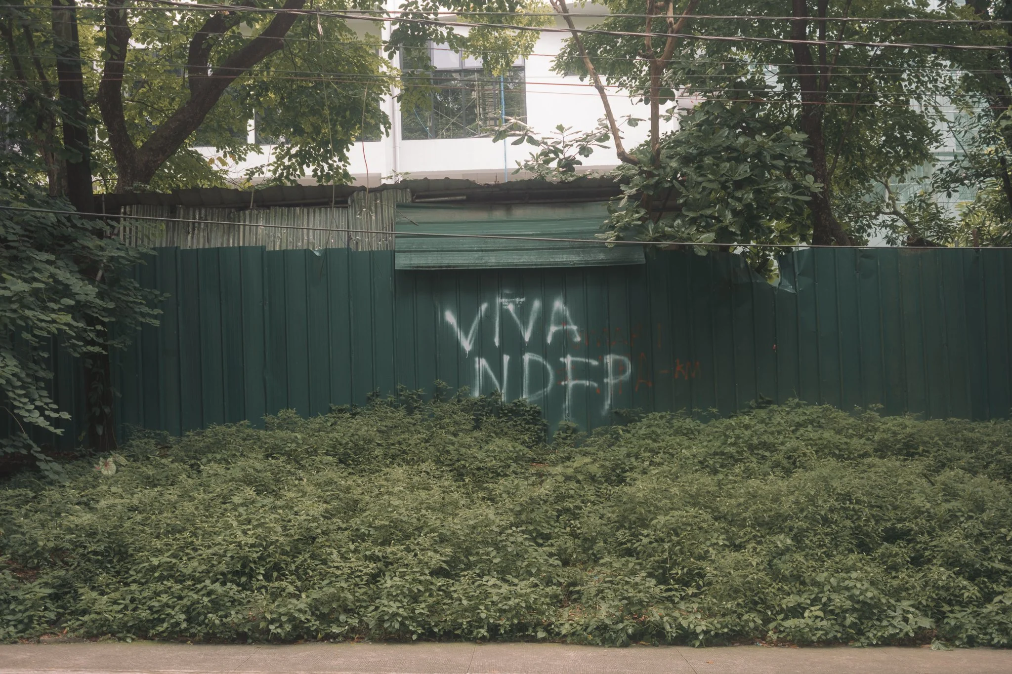 A green metal fence with spray-painted words in white saying 'VIVA INDÉP' and some smaller red text underneath, partially obscured by foliage and trees behind it.