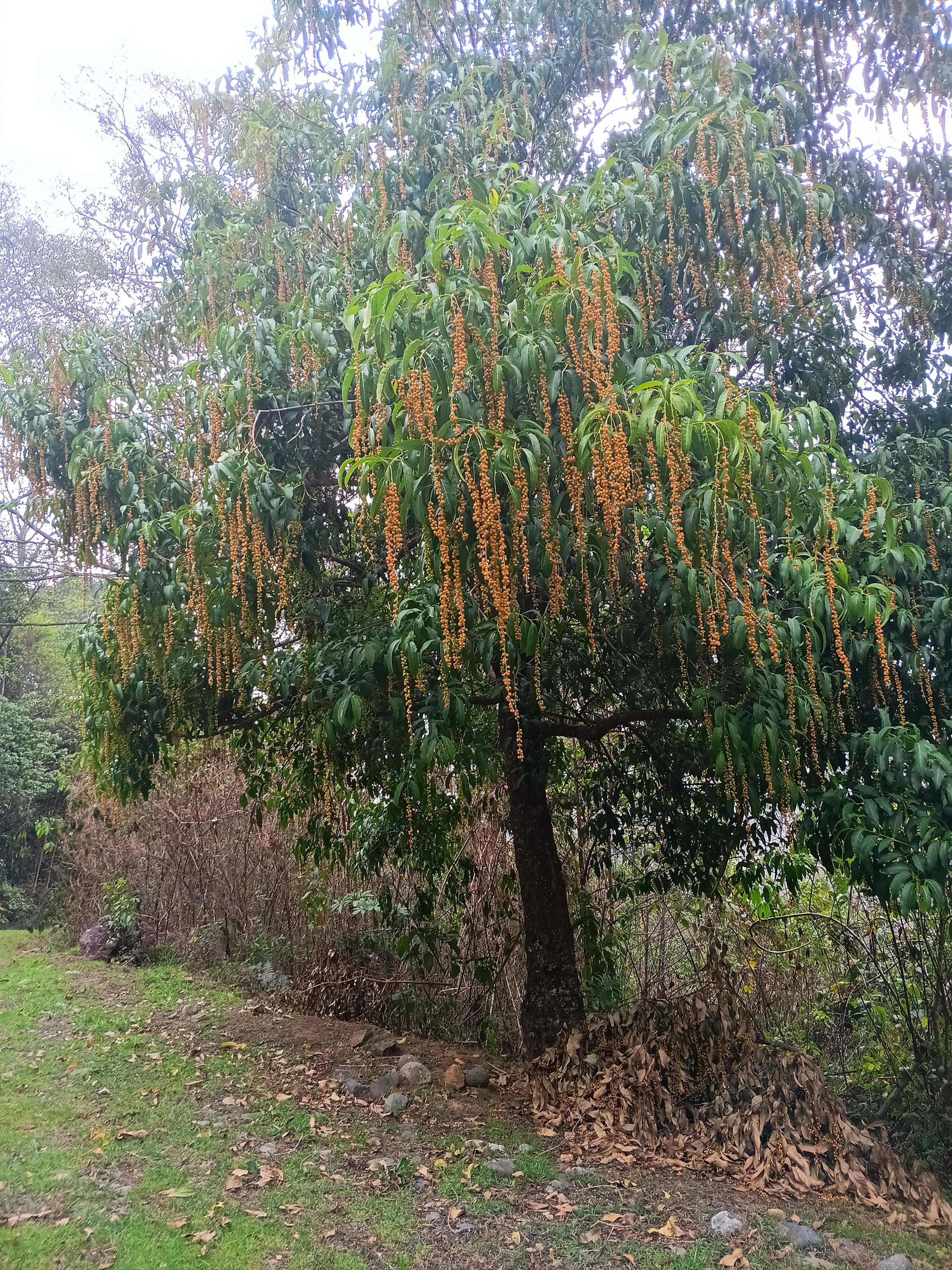 20240503_155309 - Copy.jpg