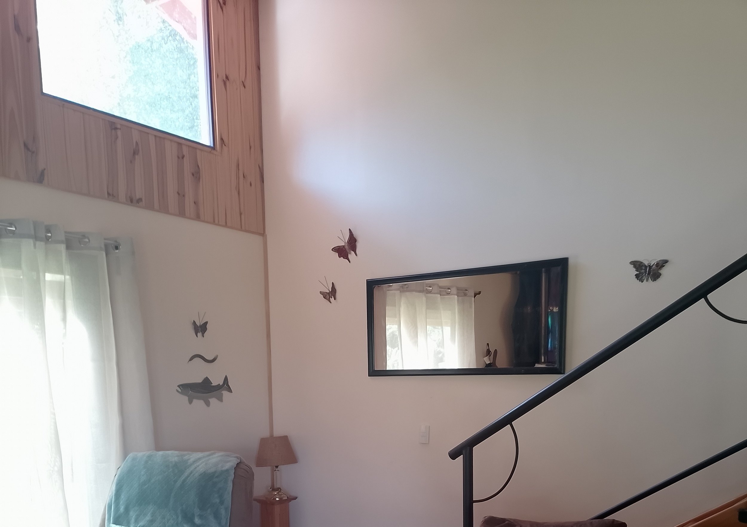IMG_20250509_091815_HDR~2.jpg