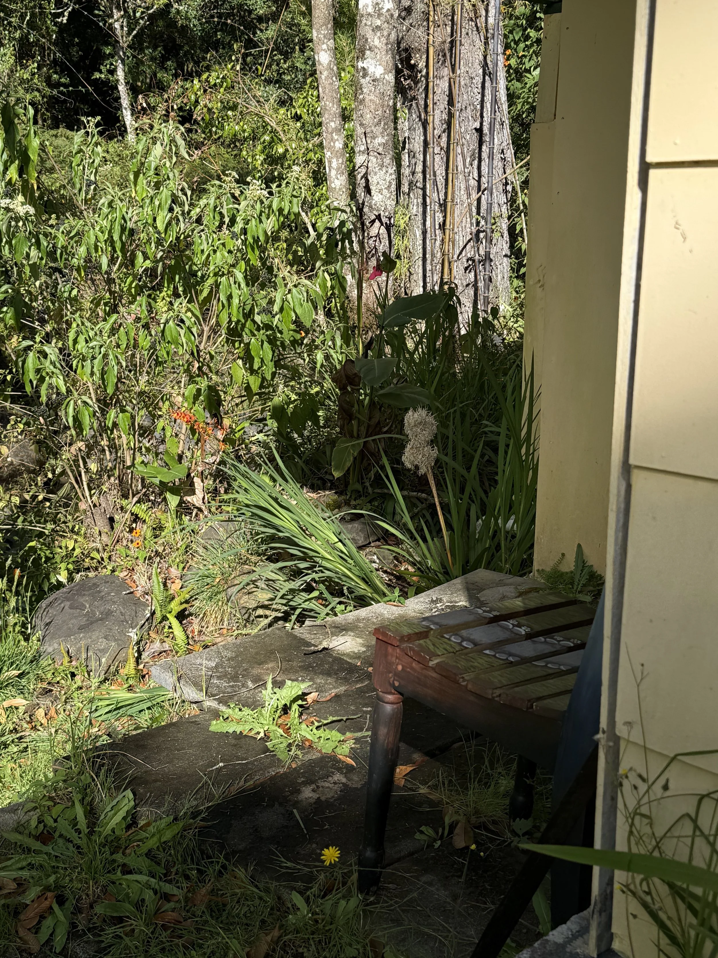 Studio Back Patio.jpg