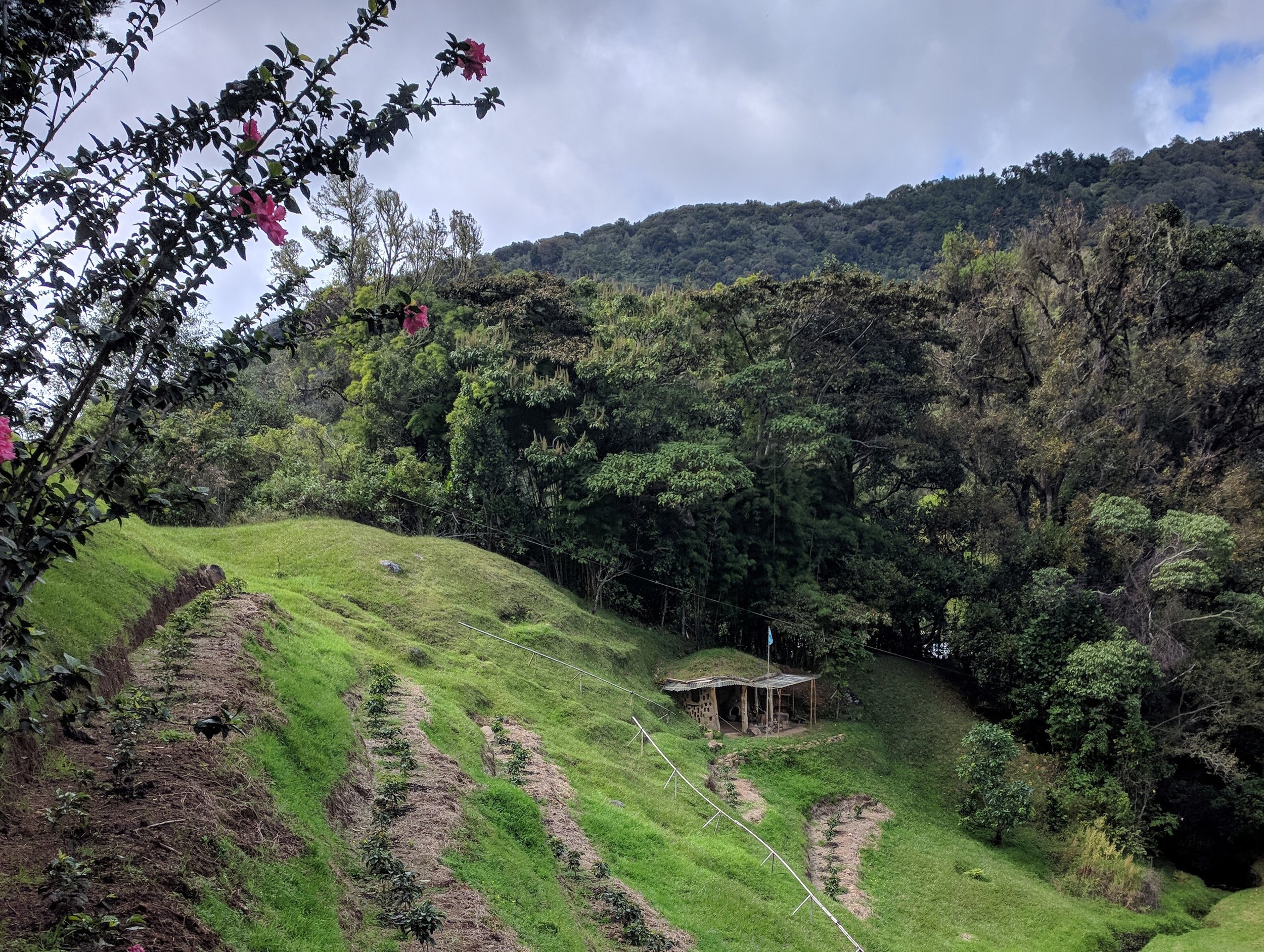 mud hut.jpg
