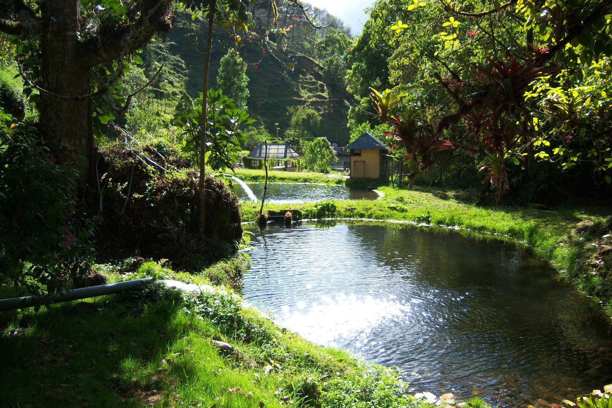 Cedro pond.jpg