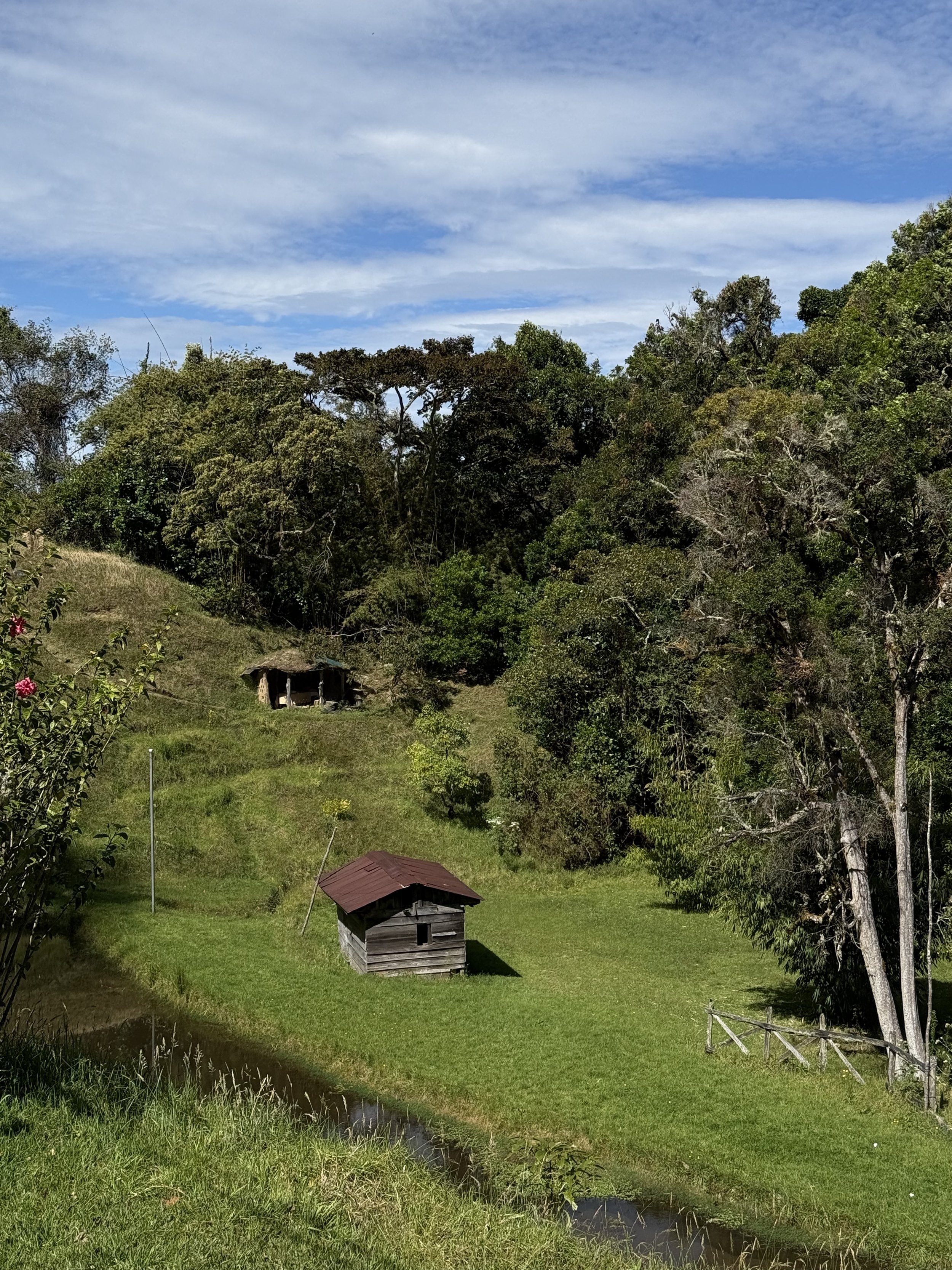 Ladera View.jpg