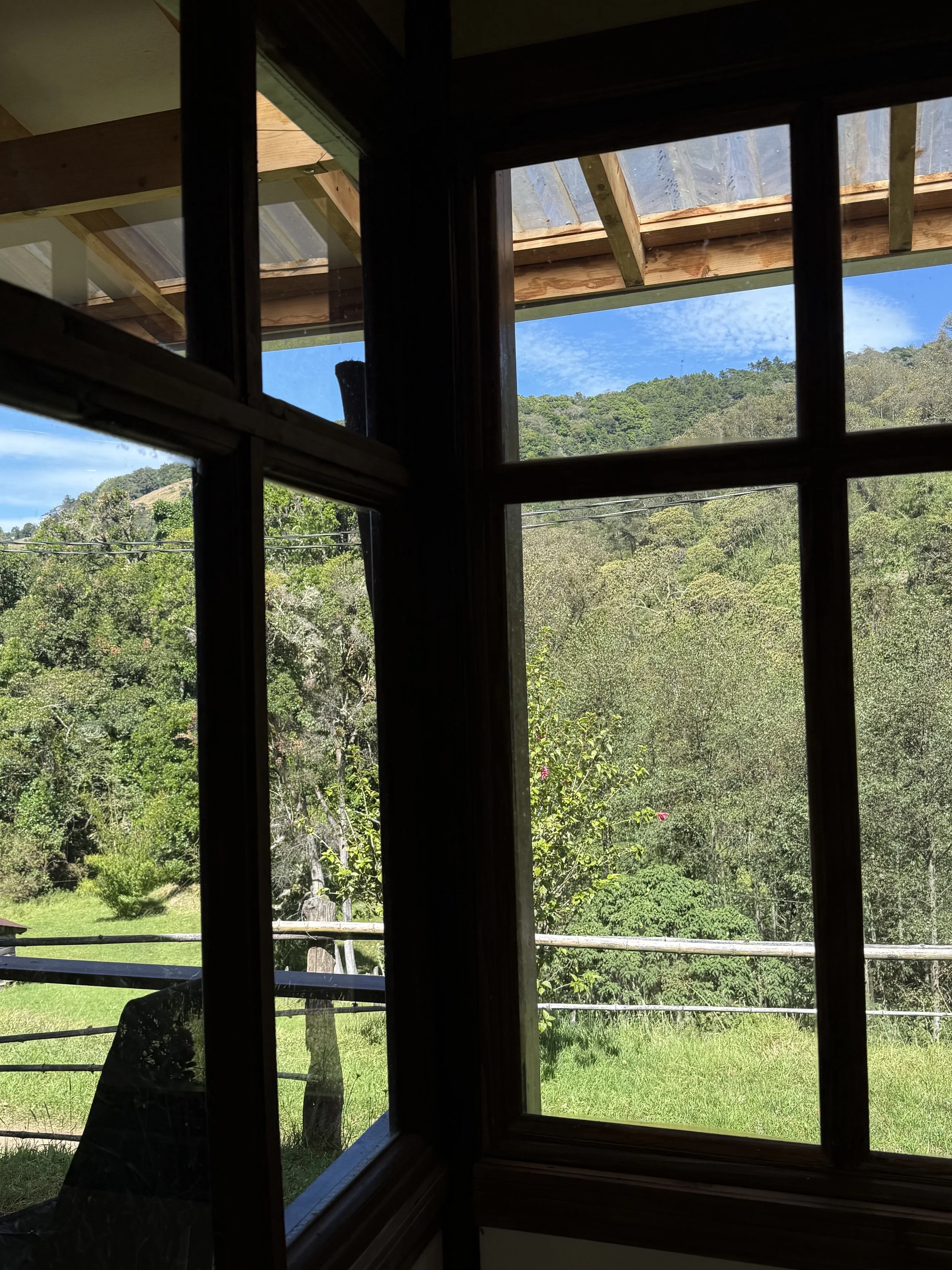 Ladera Windows View.jpg