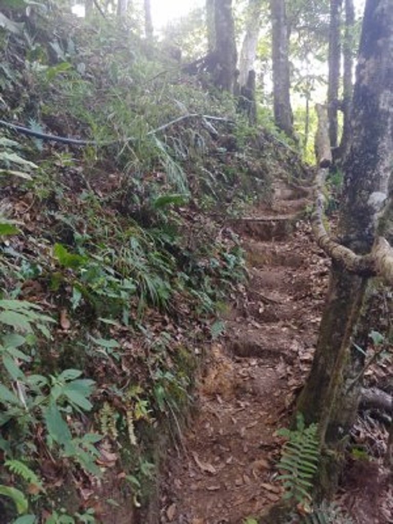 Trail.jpg