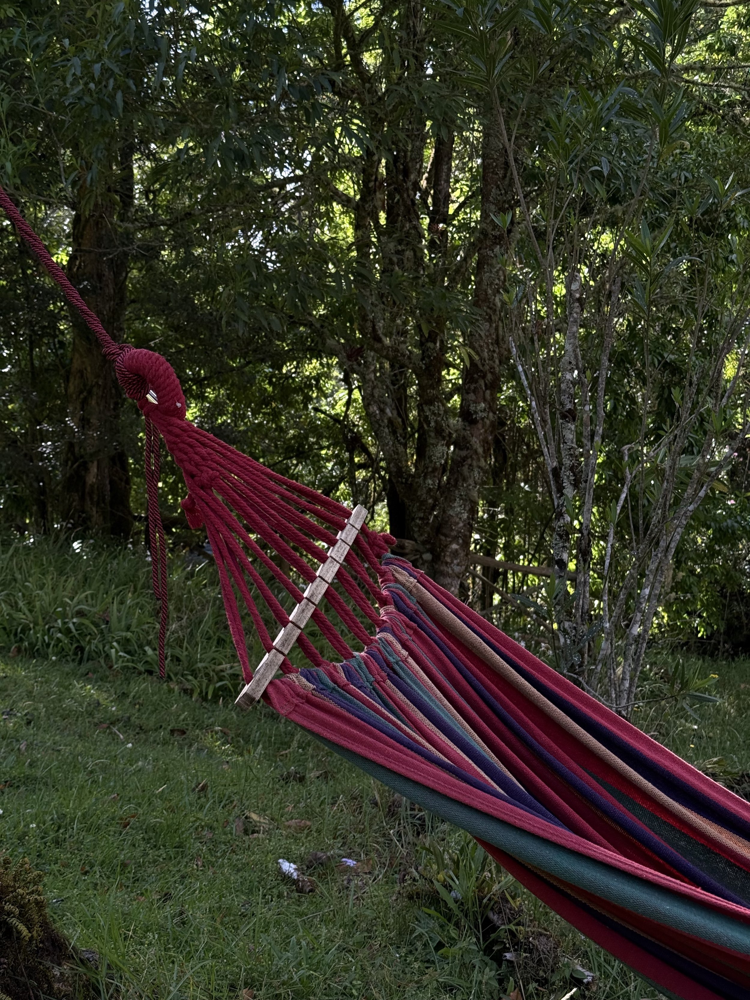 Casita Hammock.jpg