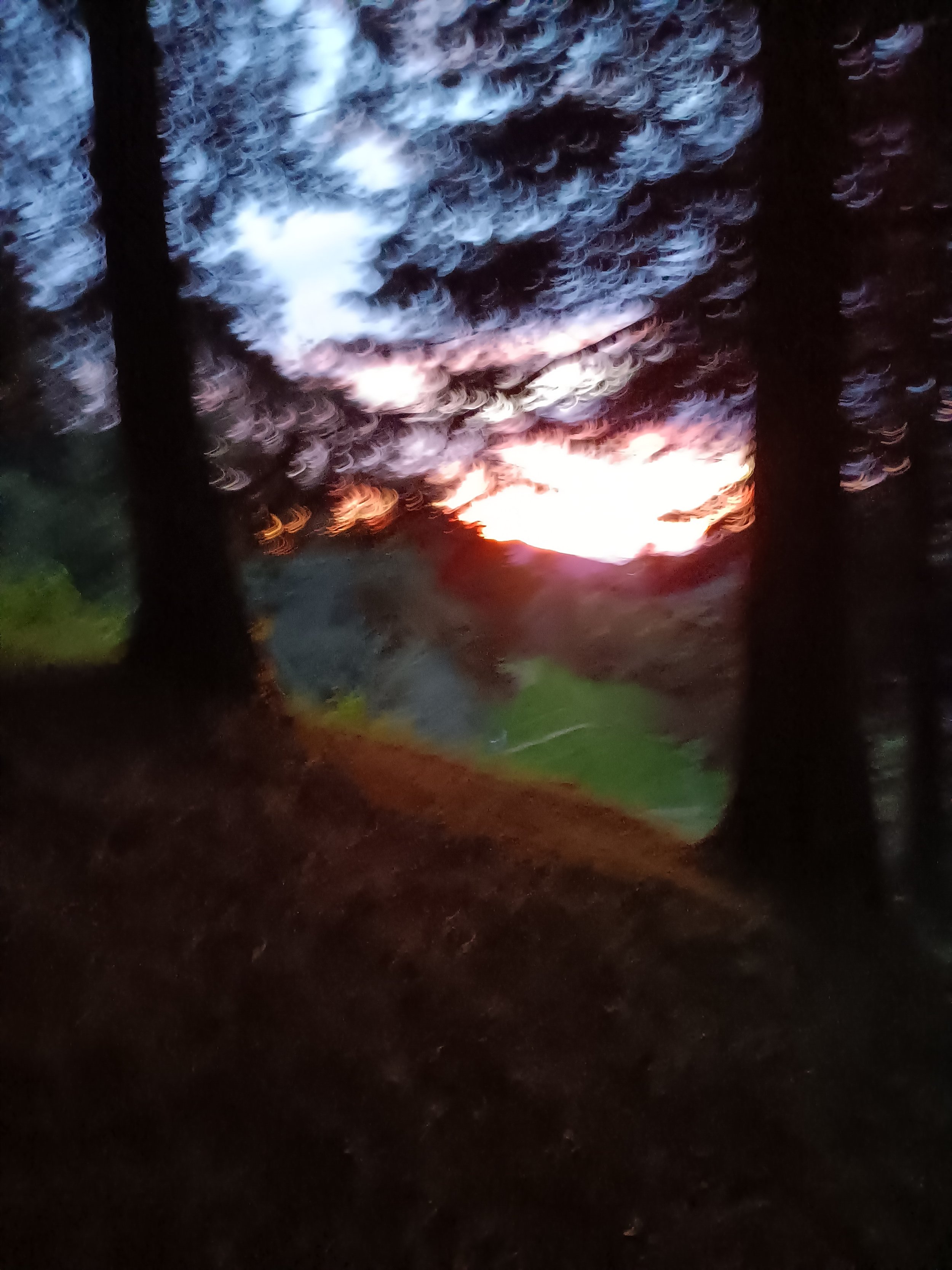 20240810_181050.jpg