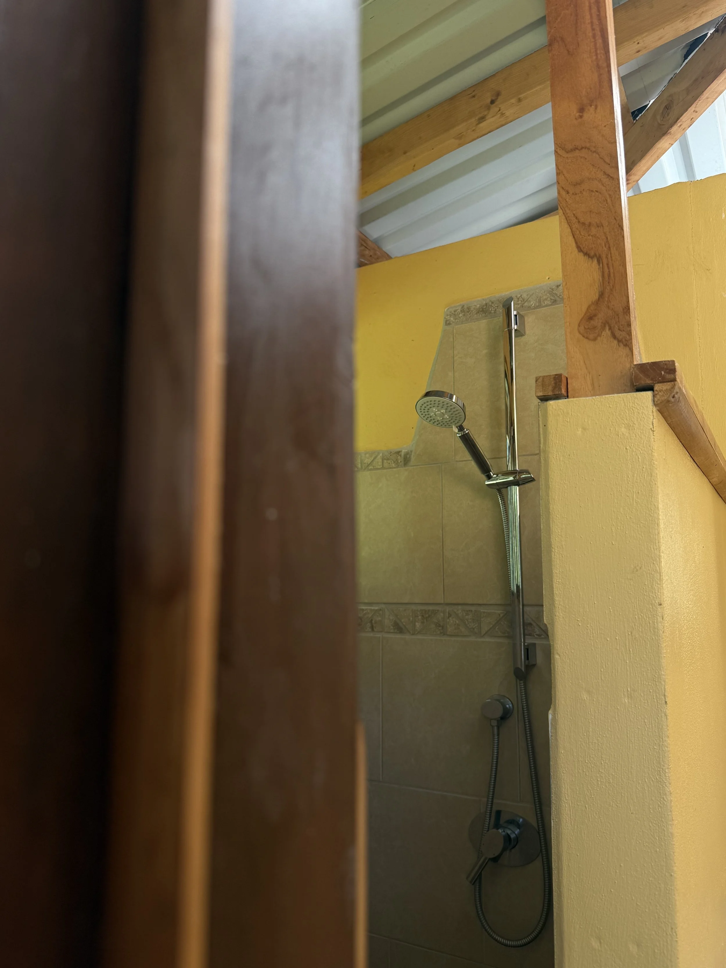 Ladera Second Shower.jpg