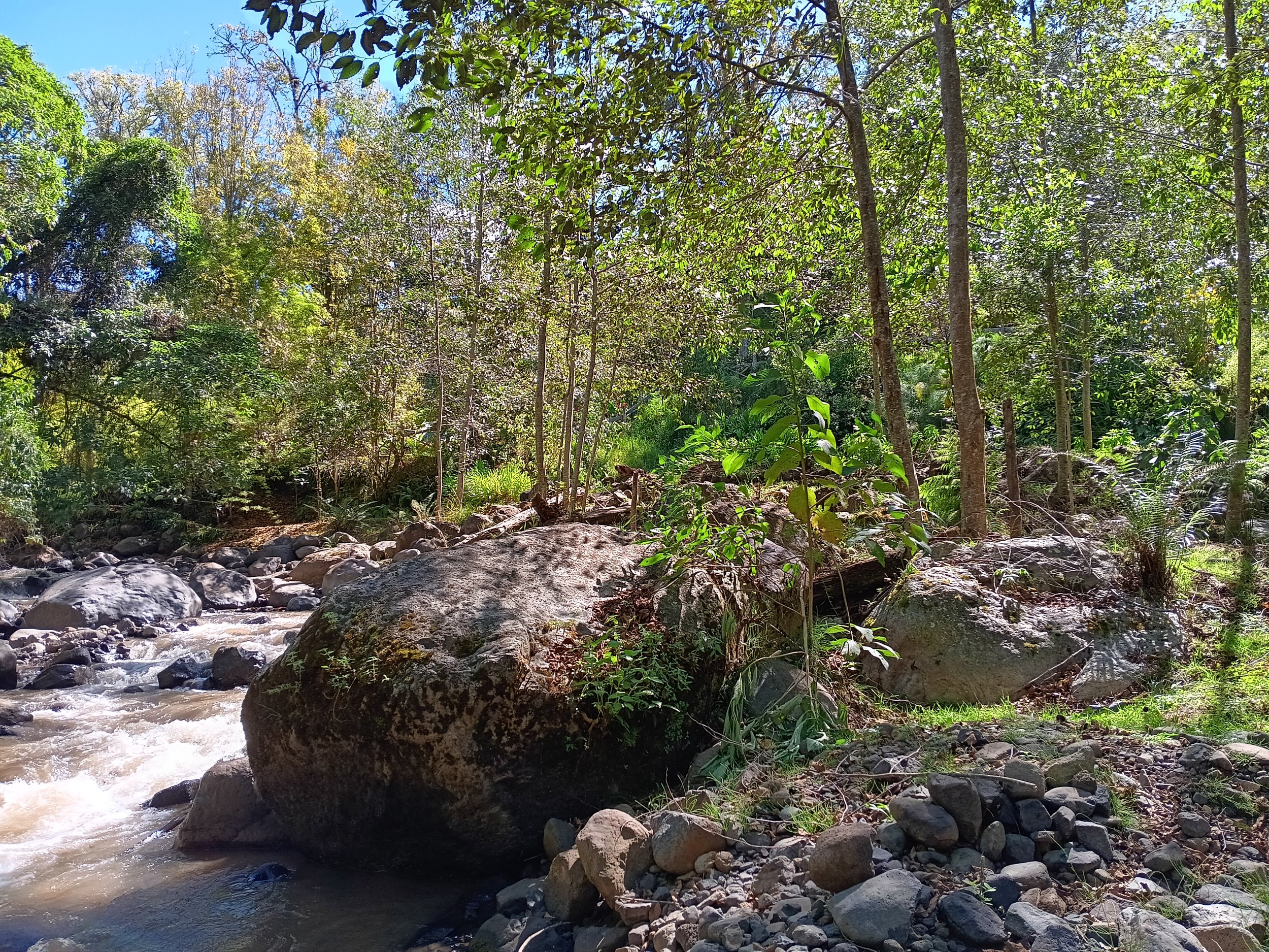 20231208_094851.jpg