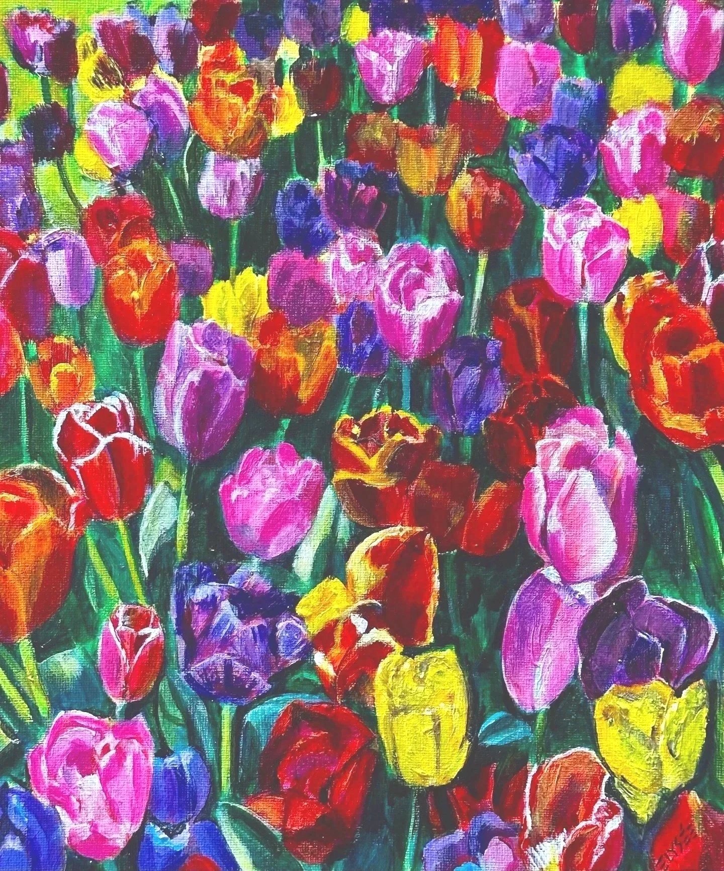 Tulips No. 3 
NFS