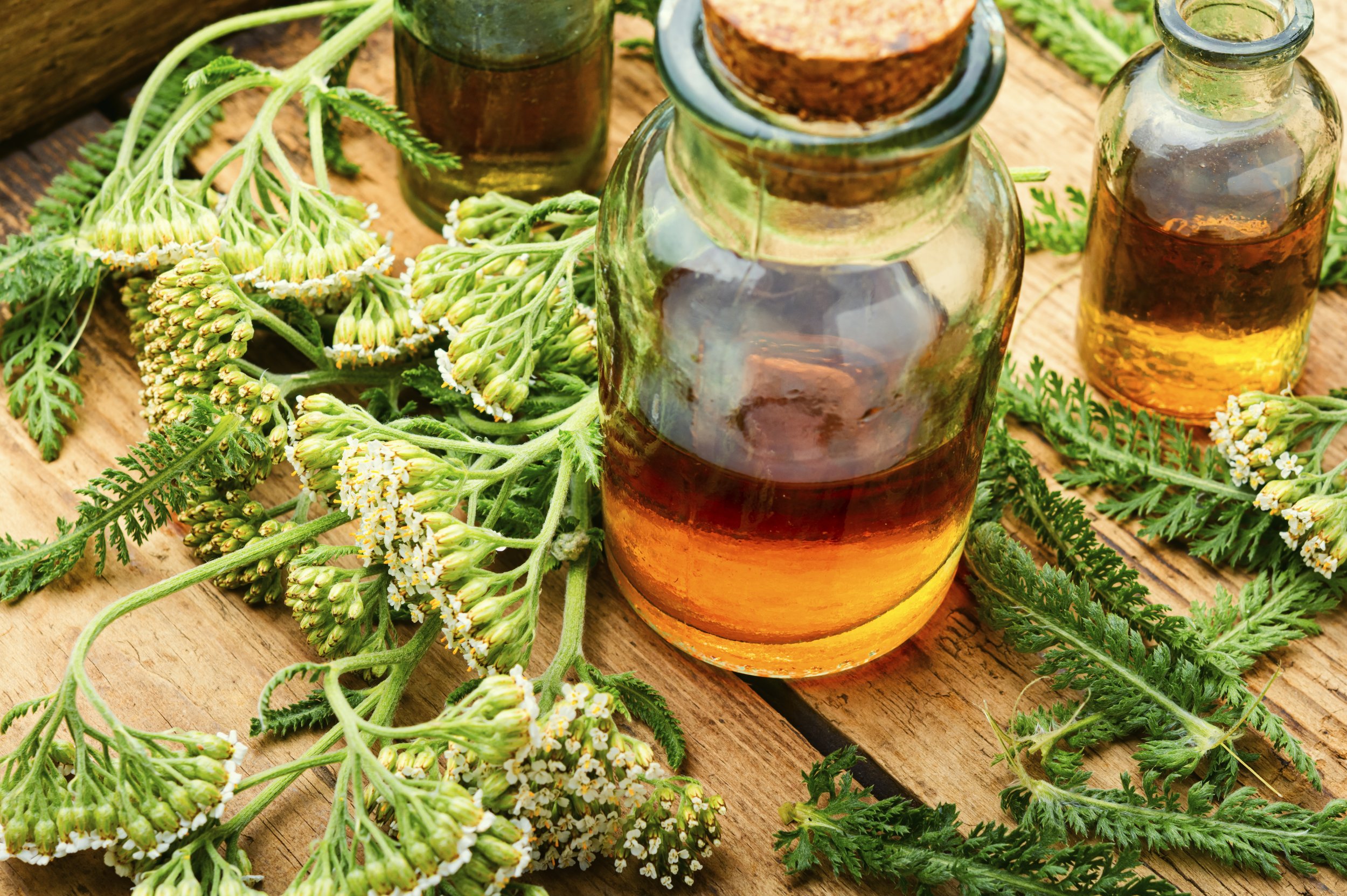 Backyard Herbalism Workshop