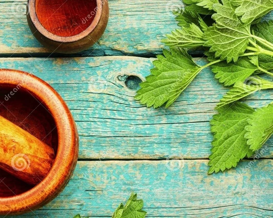 Spring Greens Herbalism Workshop