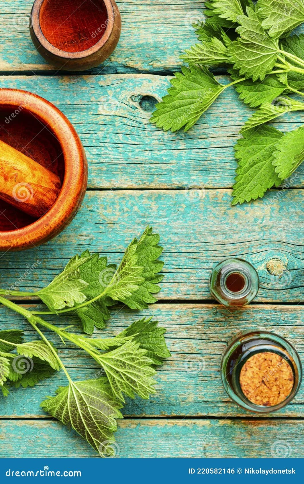 Spring Greens Herbalism Workshop