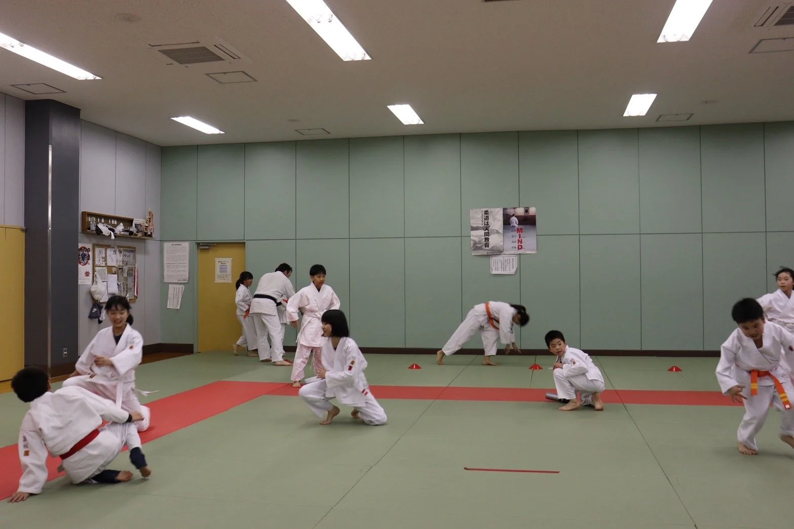 2D5BF496-AEC8-4B6C-9E5D-B913591C95BC.JPEG