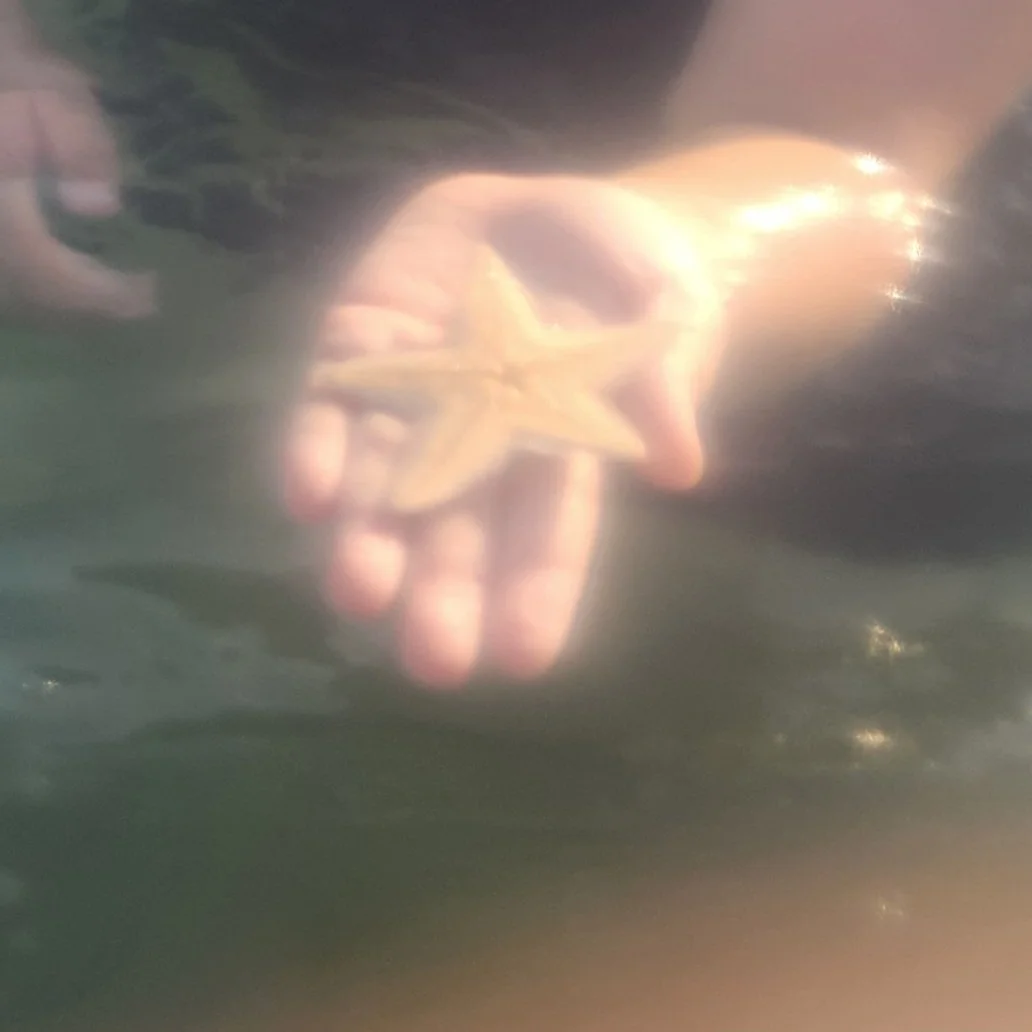 20260719_170530.jpg