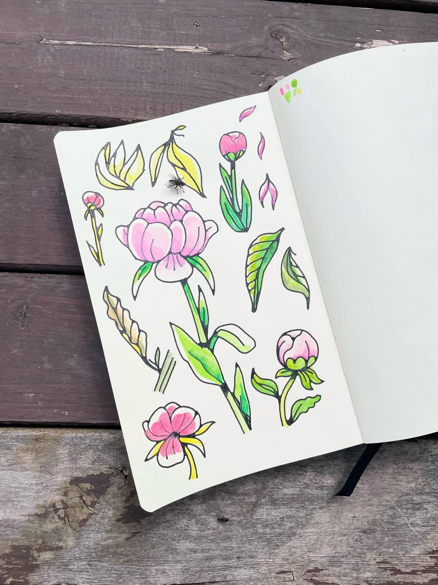 Not to be dramatic but I&rsquo;ve been pretty cooked since Art-A-Whirl, but I have been keeping up with my sketchbook, so here are some pages I like and some that I don&rsquo;t. Really enjoying just letting go and drawing some nice things and some ug