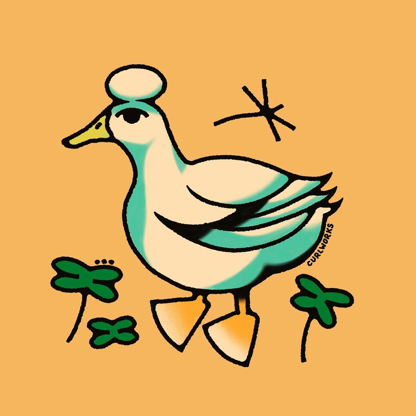 Crested ducks is good #duck