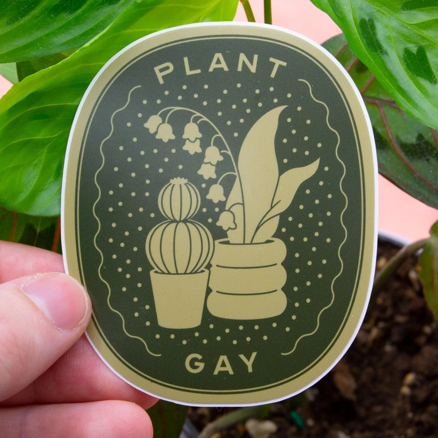 Good morning, happy Monday, which gay are you? 🌈🌿🦆🪨🔥

#gay #gaystickers #plantgay #rockgay #birdgay  #gayashell #pride