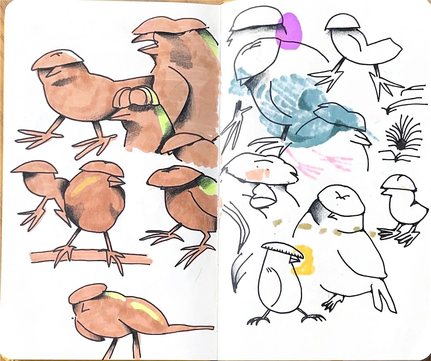 hashtag sketchbook Sunday (not my photo)