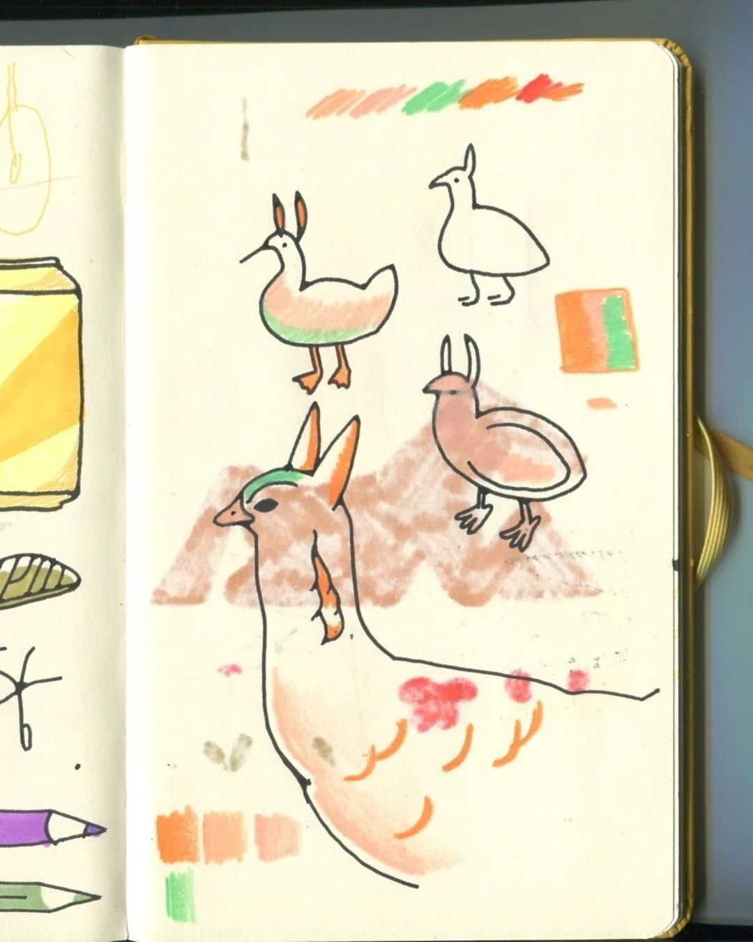 Prairie Chickens and lacewing eggs and some pens I liked to use at the time. sometimes I'll see something weird and kind of gross and it'll get stuck in my head for a while and I'll have to keep drawing it (those eggs). 

-

Reminder that we are on h