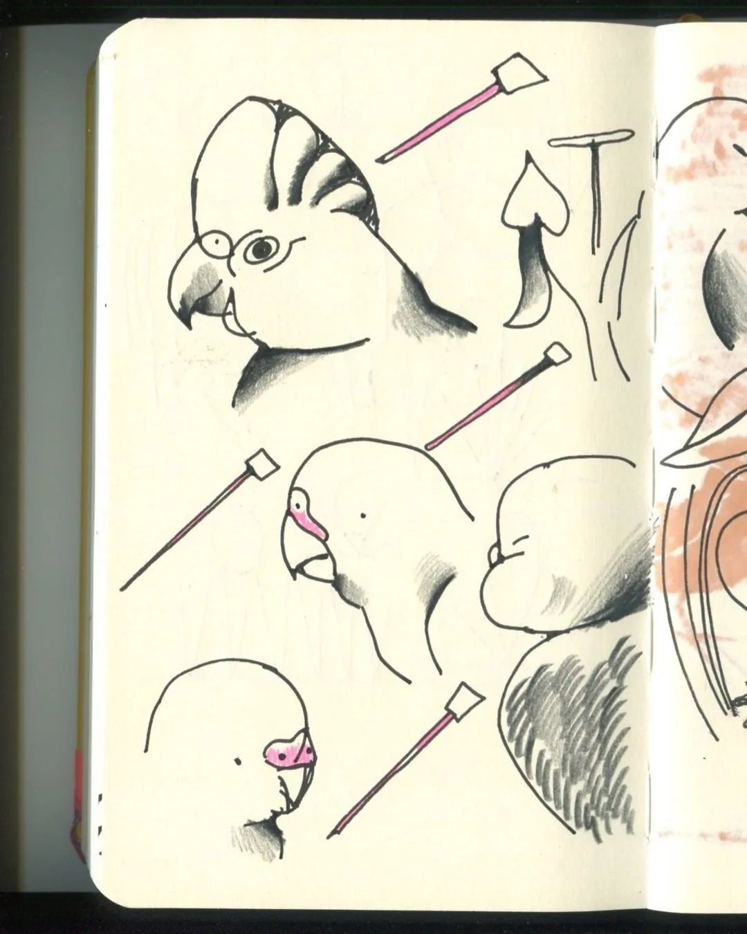 Parrots on some sunflowers (forget which kind, oops) some assorted long fish and assorted long pens. I really like the feather texture that I did on that bird facing away. 

Used a "Jelly Roll Glaze" black gel pen for the pens and fishes an