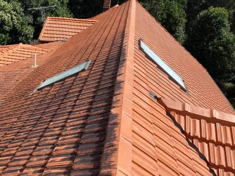 Close-up of a terracotta roof with visible dirt and grime buildup, highlighting the need for Titan Pressure Pros' professional roof cleaning services to restore its pristine condition.