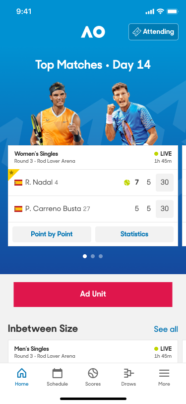 Hero - Medium Flag.png