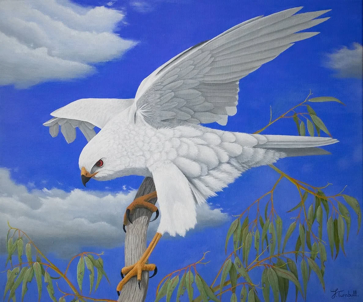 Hi everyone, its has been a very busy last few weeks and its gone so fast! There was some crazy weather, working on the website, getting paintings photographed, sorting out Gicl&eacute;e prints and all the while me and my wife are expecting our first