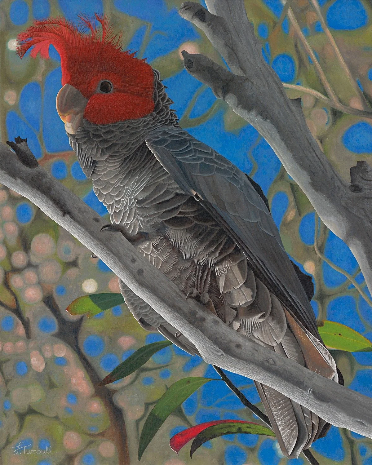 Hi everyone, if you're going to the Maitland Show this weekend you can pop in to see two of my artworks in person, displayed for the Maitland Art Prize located near the main entrance in the Thomas Morgan Pavilion.This is the first time I've had artwo