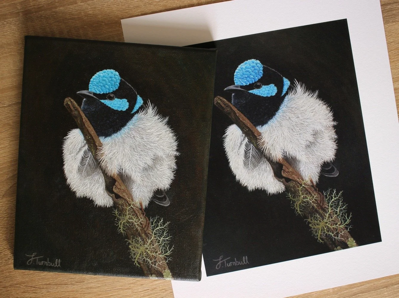 This little character &lsquo;Fluffy Boy&rsquo; was spotted on his twig podium, puffed up and singing to impress his lady love. My wife likes to joke around after I finish a painting saying, &ldquo;that will look good on our wall&rsquo; and I&rsquo;m 