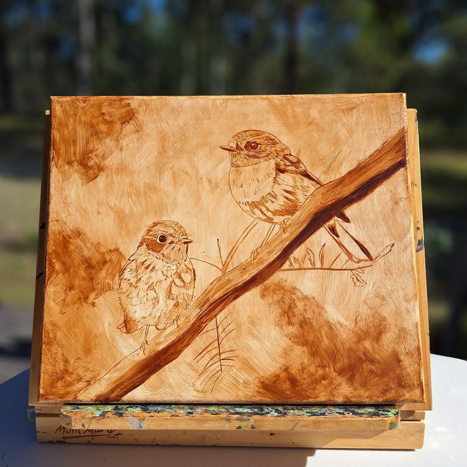 Earlier in the year I was lucky enough on several occasions to spot Rose Robins in the bush around home. Grabbing the camera I managed to get a few good reference photos and sketched together a nice scene of a pair of these lovely birds. This is the 