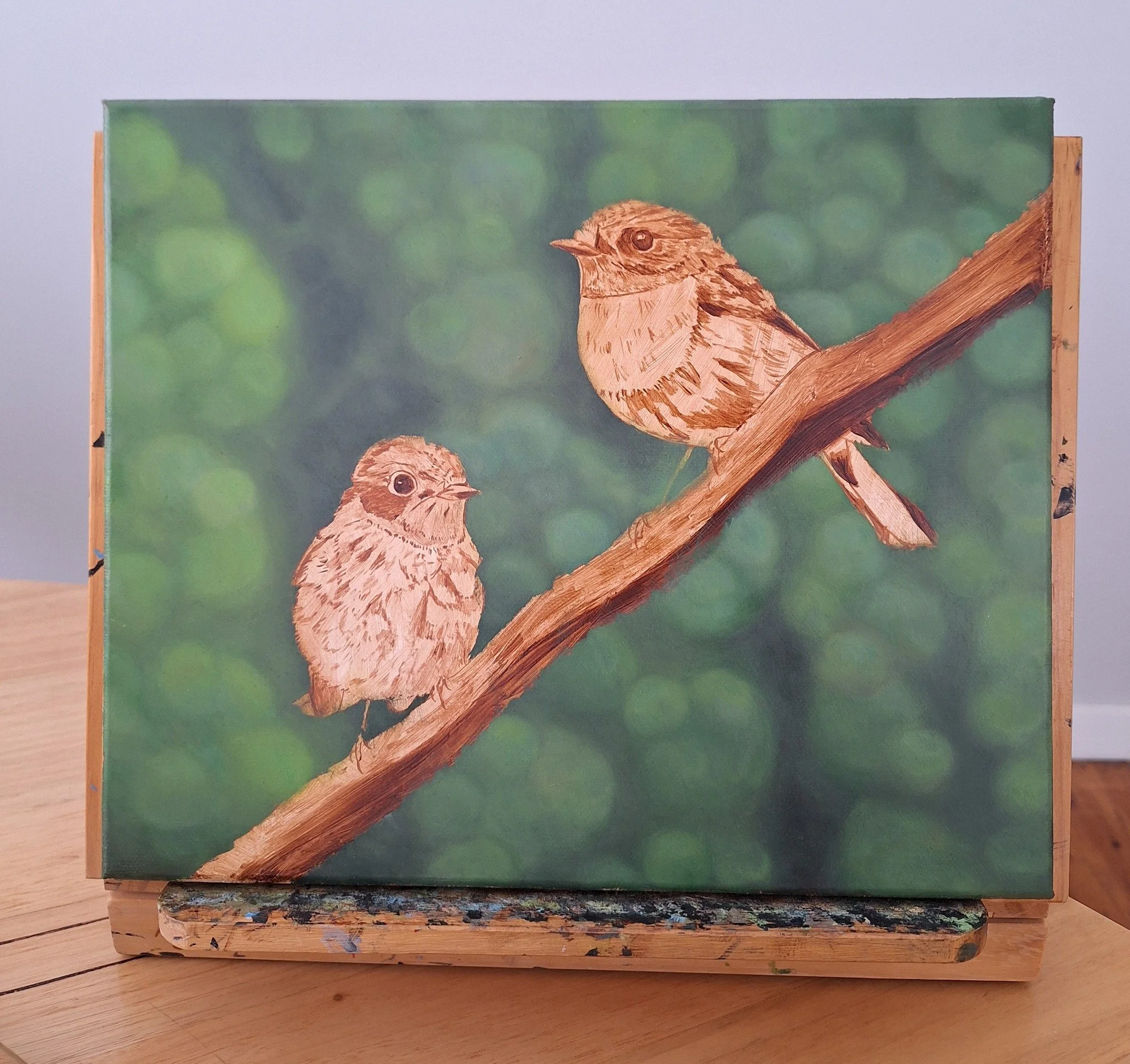 Work on the Rose Robins continues with the background blocked in. I like the blurred background foliage with its different shades of greens which will eventually complement the bright pinks and reds of the Rose Robins plumage. I&rsquo;ll blend in a f