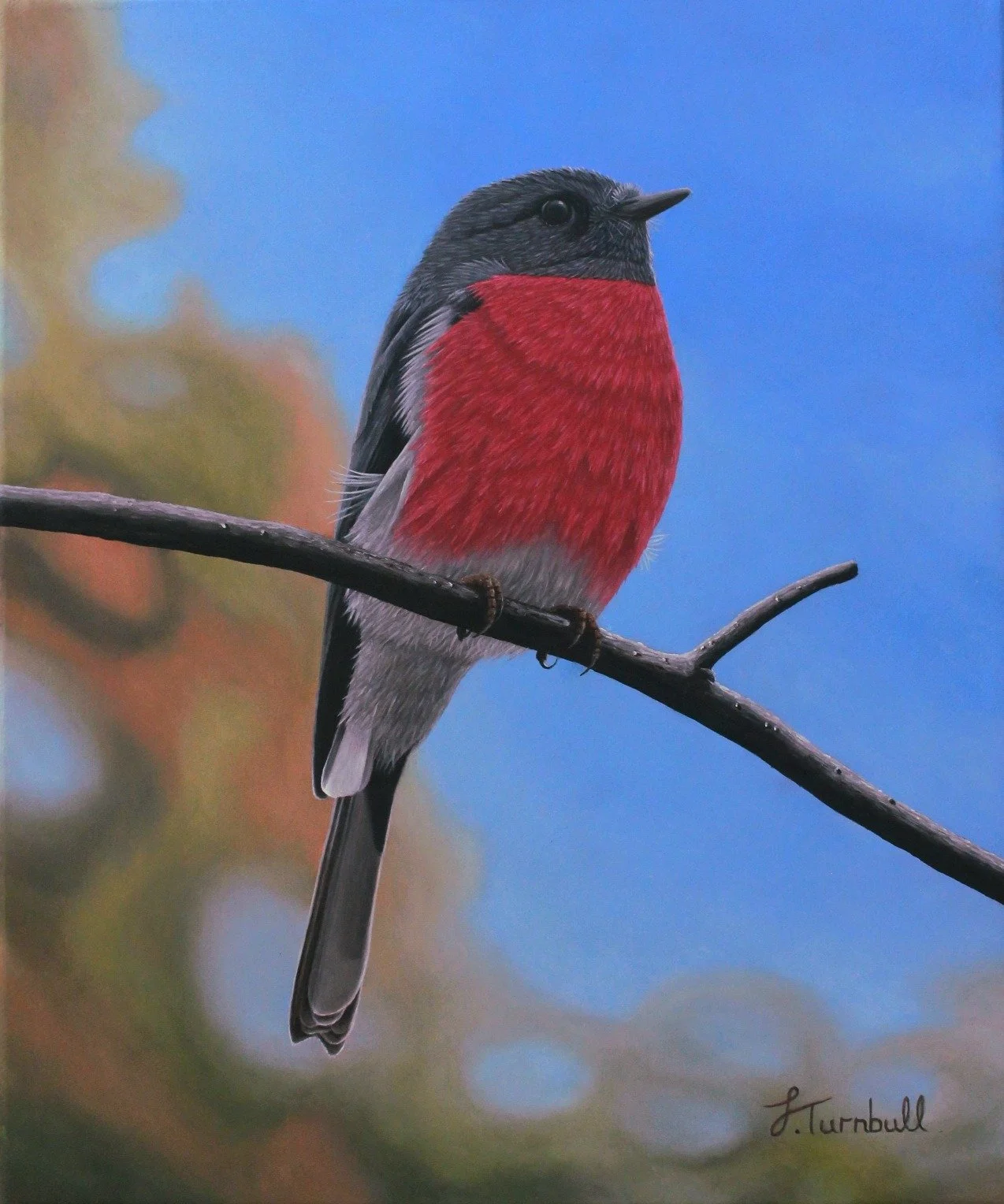 Another Rose Robin finished! I'm pleased with how this small portrait came out, the Robin&rsquo;s vibrant feathers set against a bright blue sky. In the new year I look forward to bringing these Robin pieces to the framer for the finishing touch.