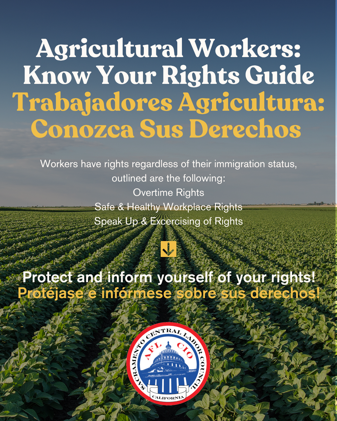 Agricultural Workers: Know Your Rights Guide