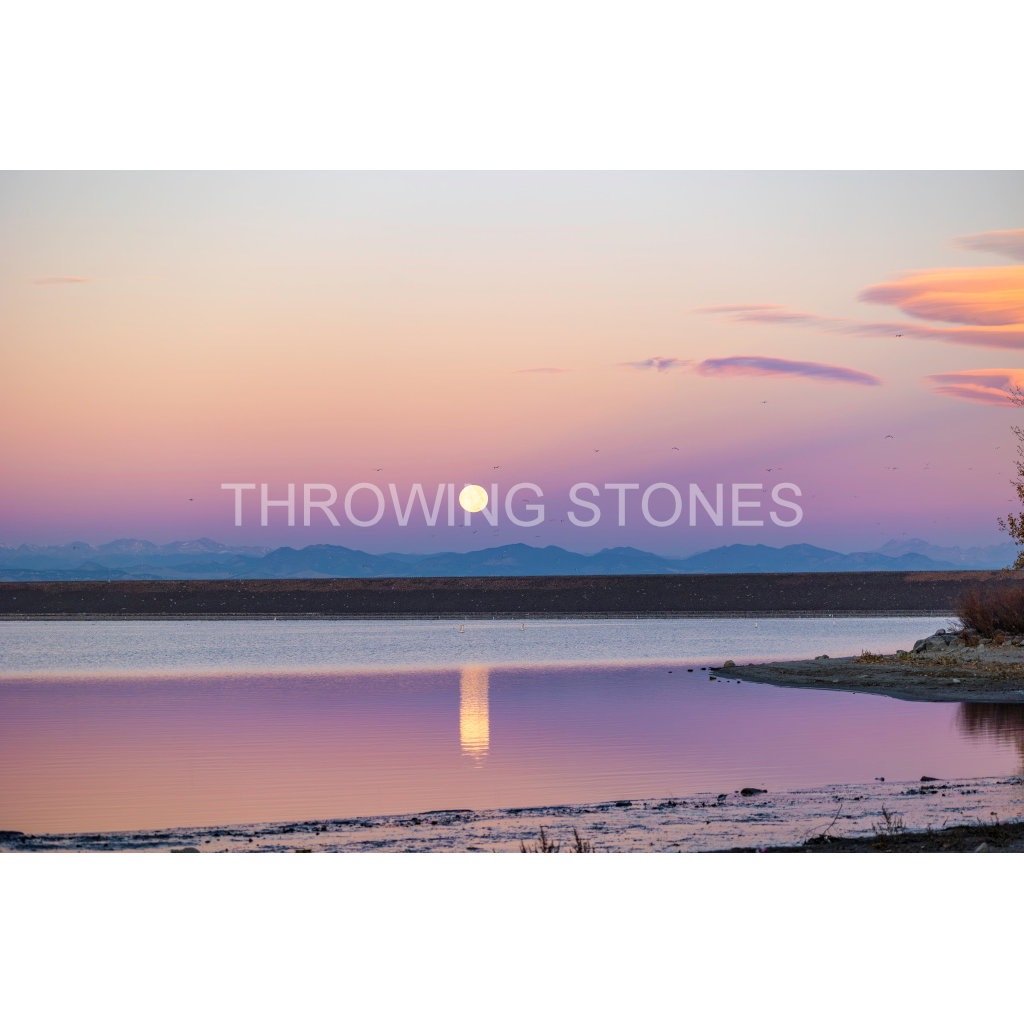 November Beaver Moonset - Cherry Creek Reservoir