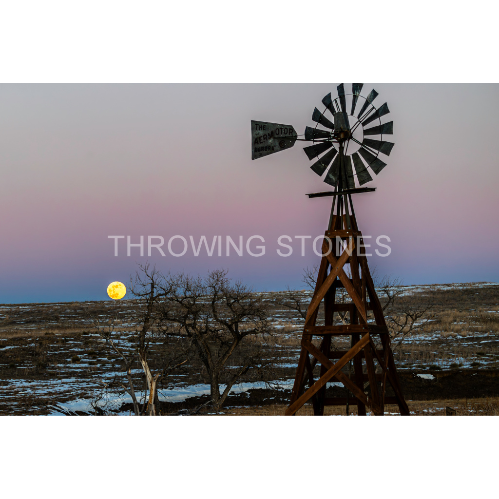 January Wolf Moonrise - Pronghorn Natural Area