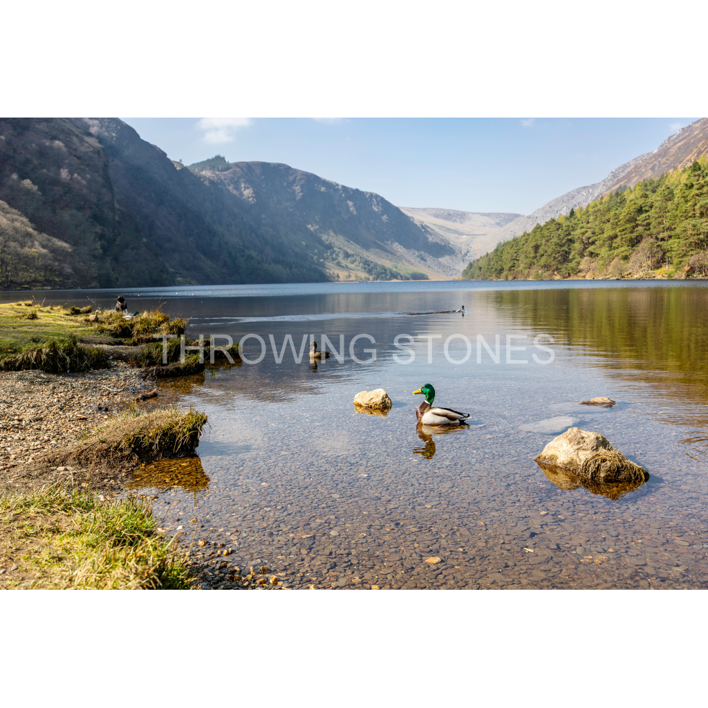 Glendalough Upper Lake