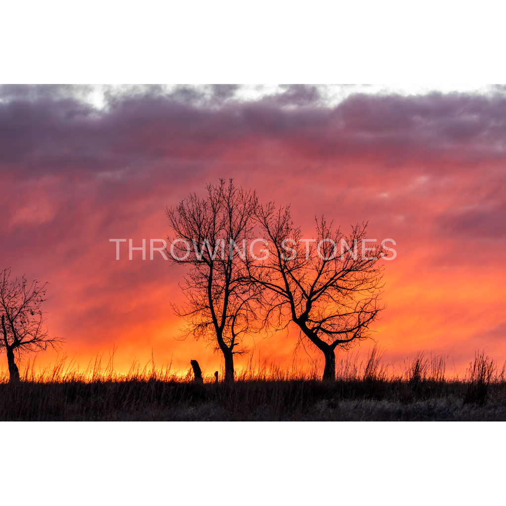 Rocky Mountain Arsenal National Wildlife Refuge Sunrise