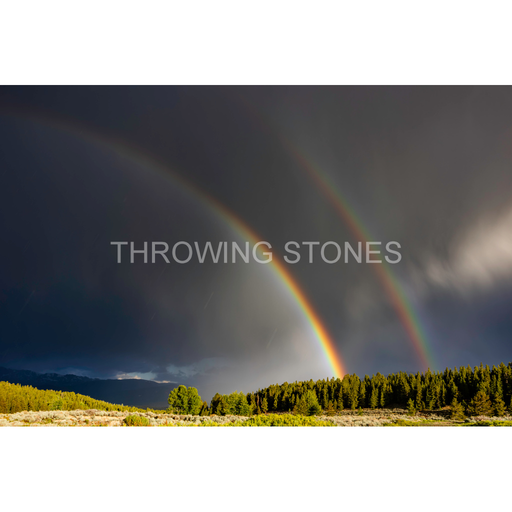 Monsoon Summer Rains at Sunrise