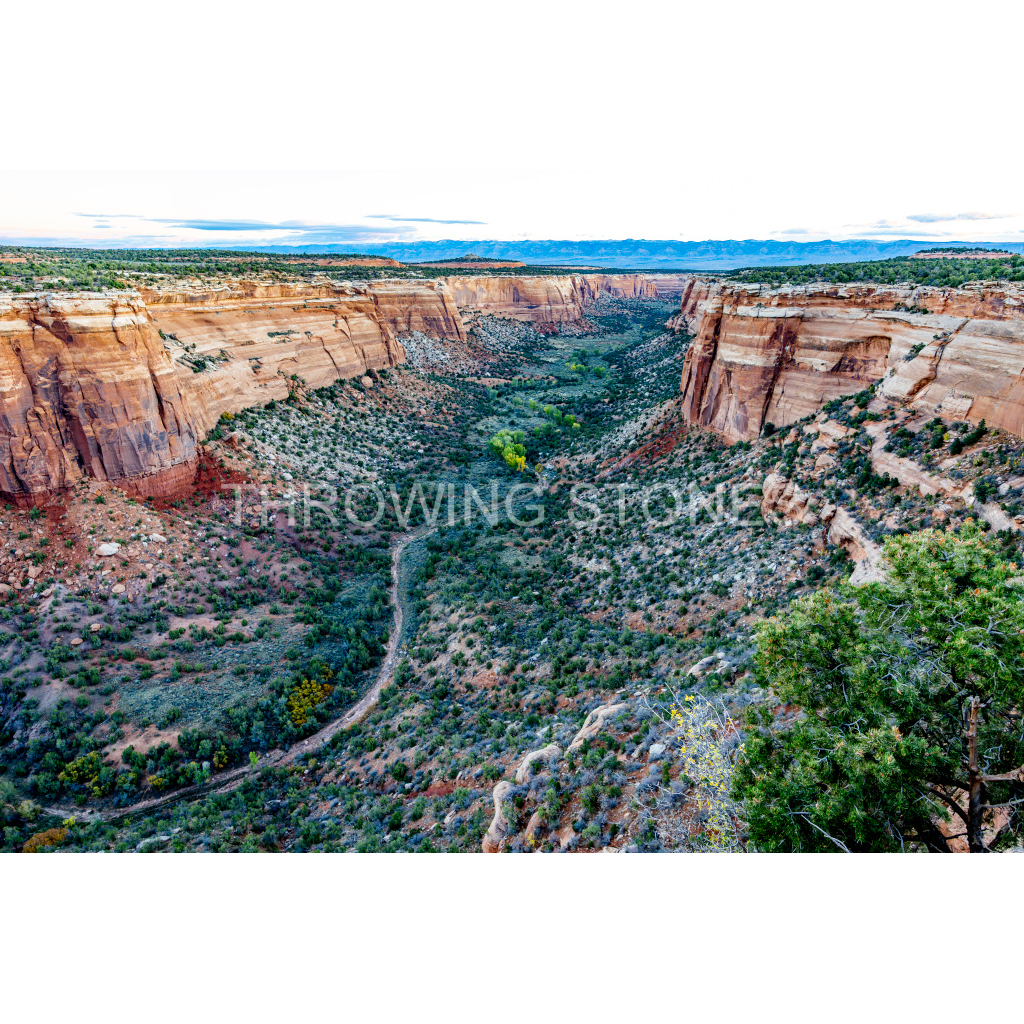 Ute Canyon Sunrise, Colorado National Monument