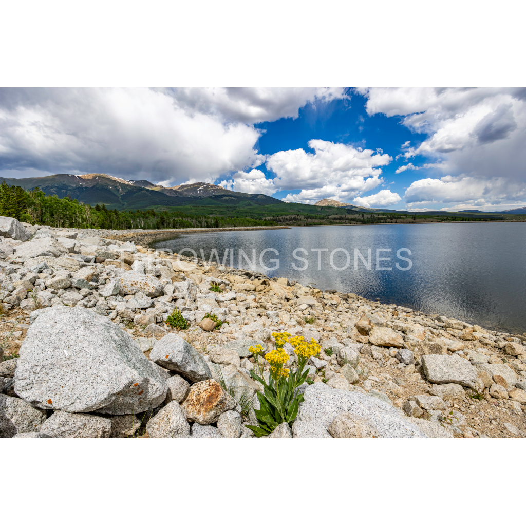 Mount Elbert Forebay