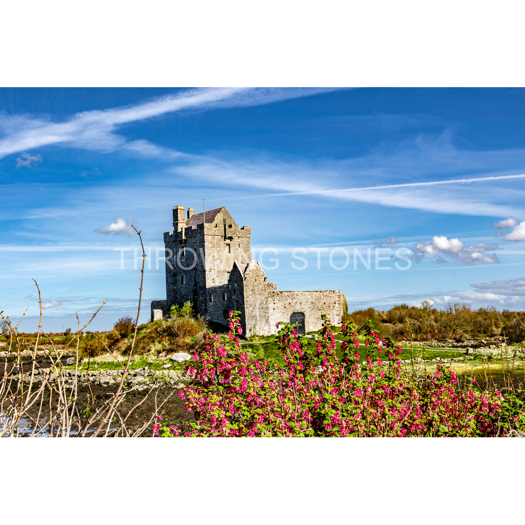 Dunguaire Castle