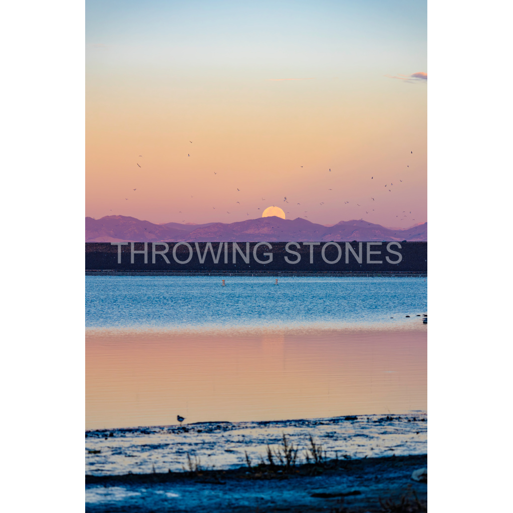 November Beaver Full Moonset