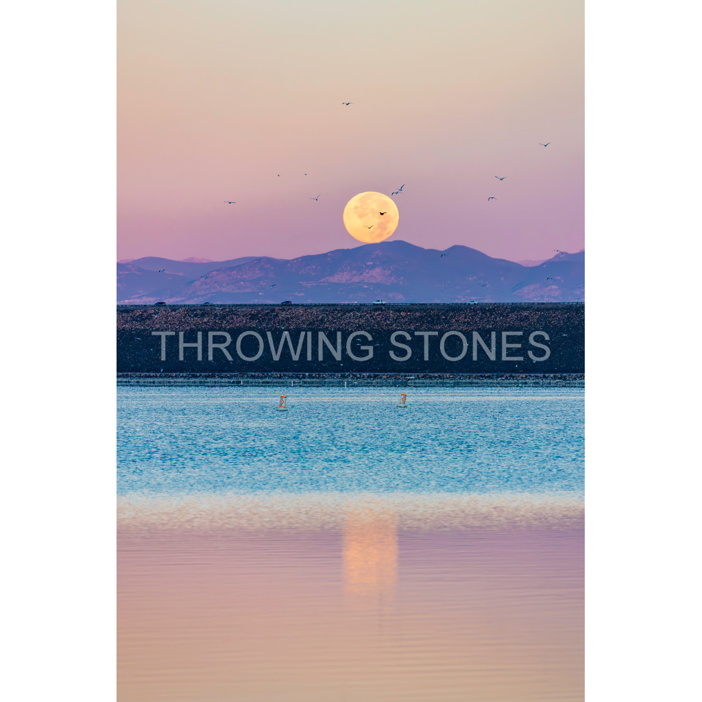 November Beaver Moonset