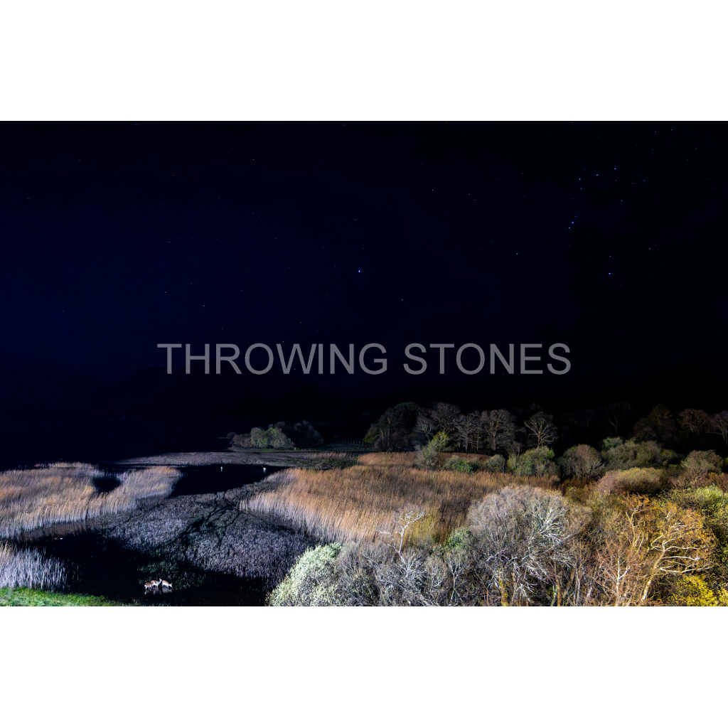 Killarney National Park Night Sky & Red Deer