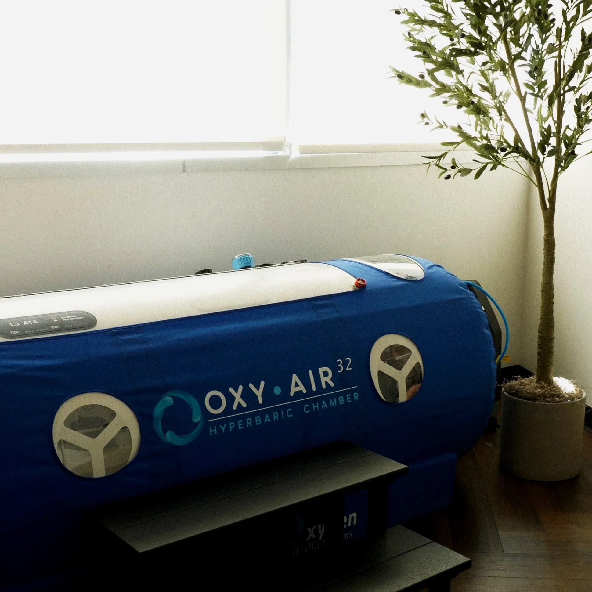 A blue oxygen hyperbaric chamber labeled 'OXY-AIR 32.' next to a potted plant with green leaves in a gray pot. The chamber is indoors, against a window with blinds.