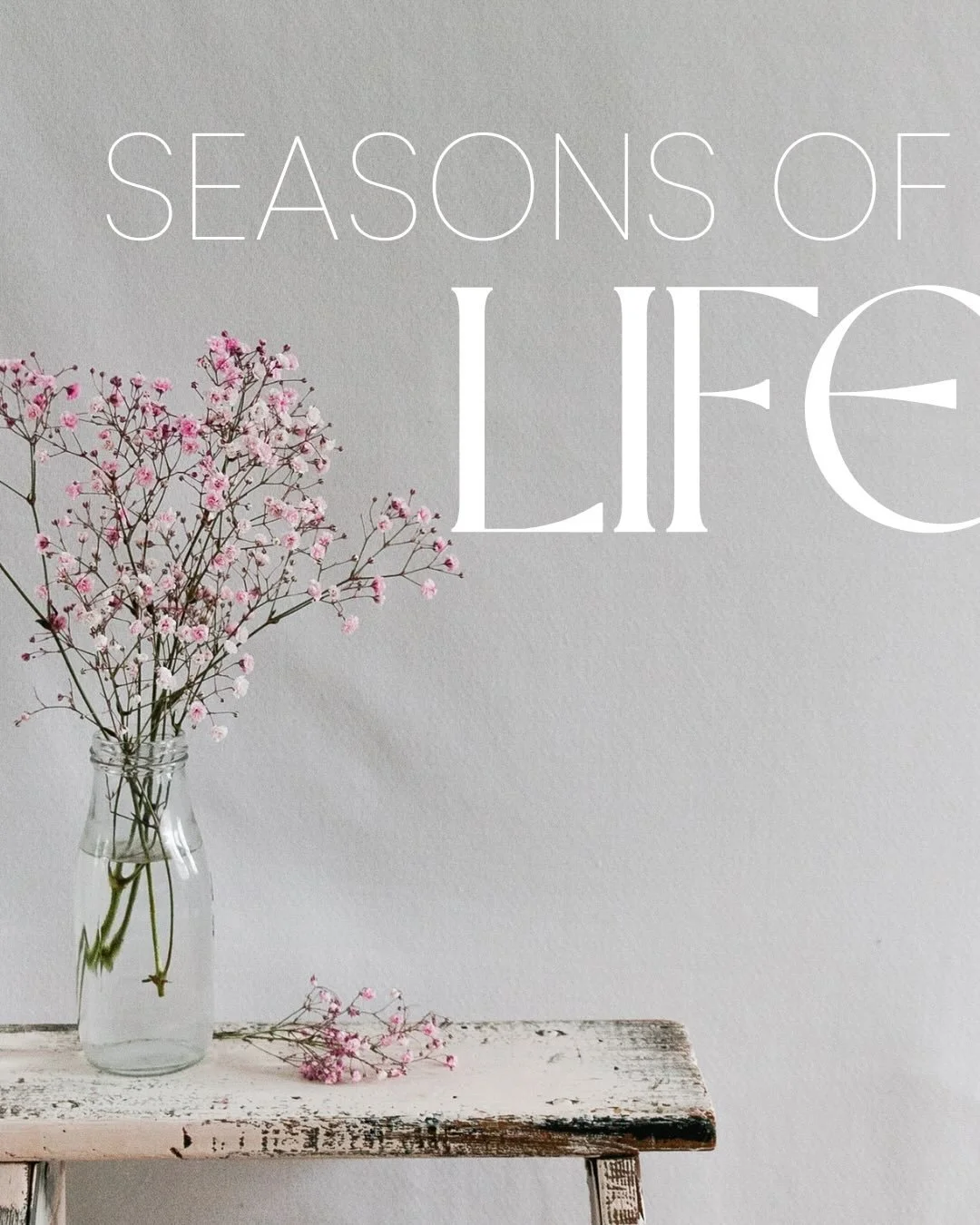 🌱 n e w  b l o g  p o s t 🌱

Lately I&rsquo;ve been thinking about the temporary nature of life. Specifically-seasons or chapters of life as it relates to motherhood. For me- motherhood has been the greatest life teacher and biggest catalyst for pe