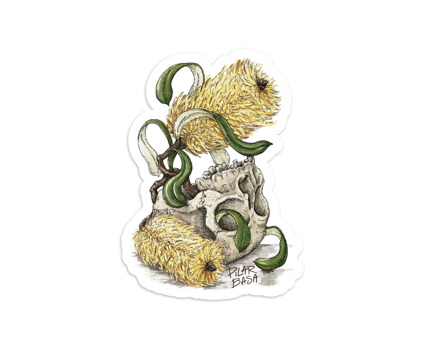 PILAR BASA_Till Death_white backgroundPACK.png