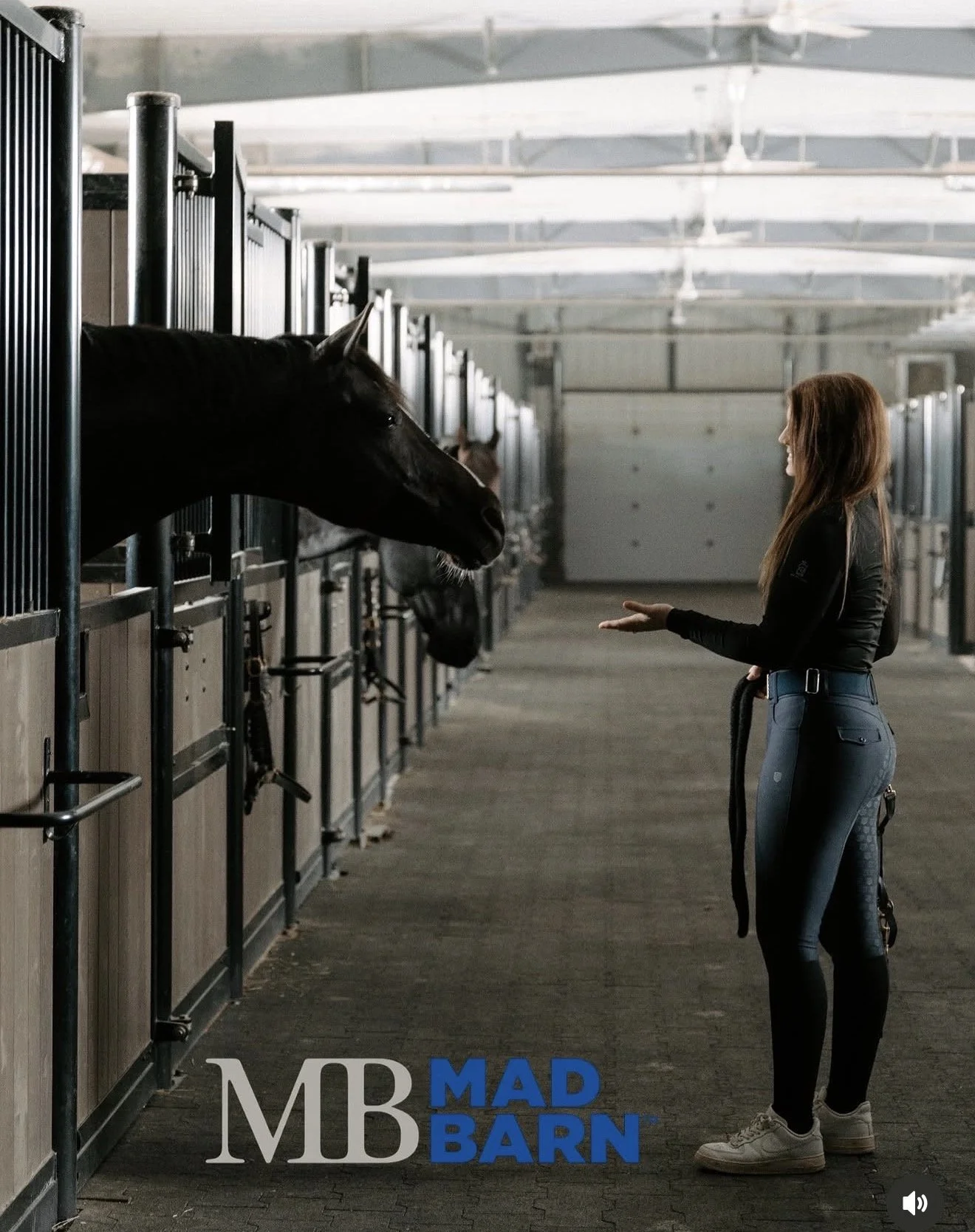 A woman with long brown hair, wearing a black long sleeve shirt and dark riding pants, stands in a stable aisle holding a horse's lead rope while a black horse looks out from its stall. The stable has multiple stalls with wooden doors and metal bars. The logo 'MB MAD BARN' is at the bottom of the image.