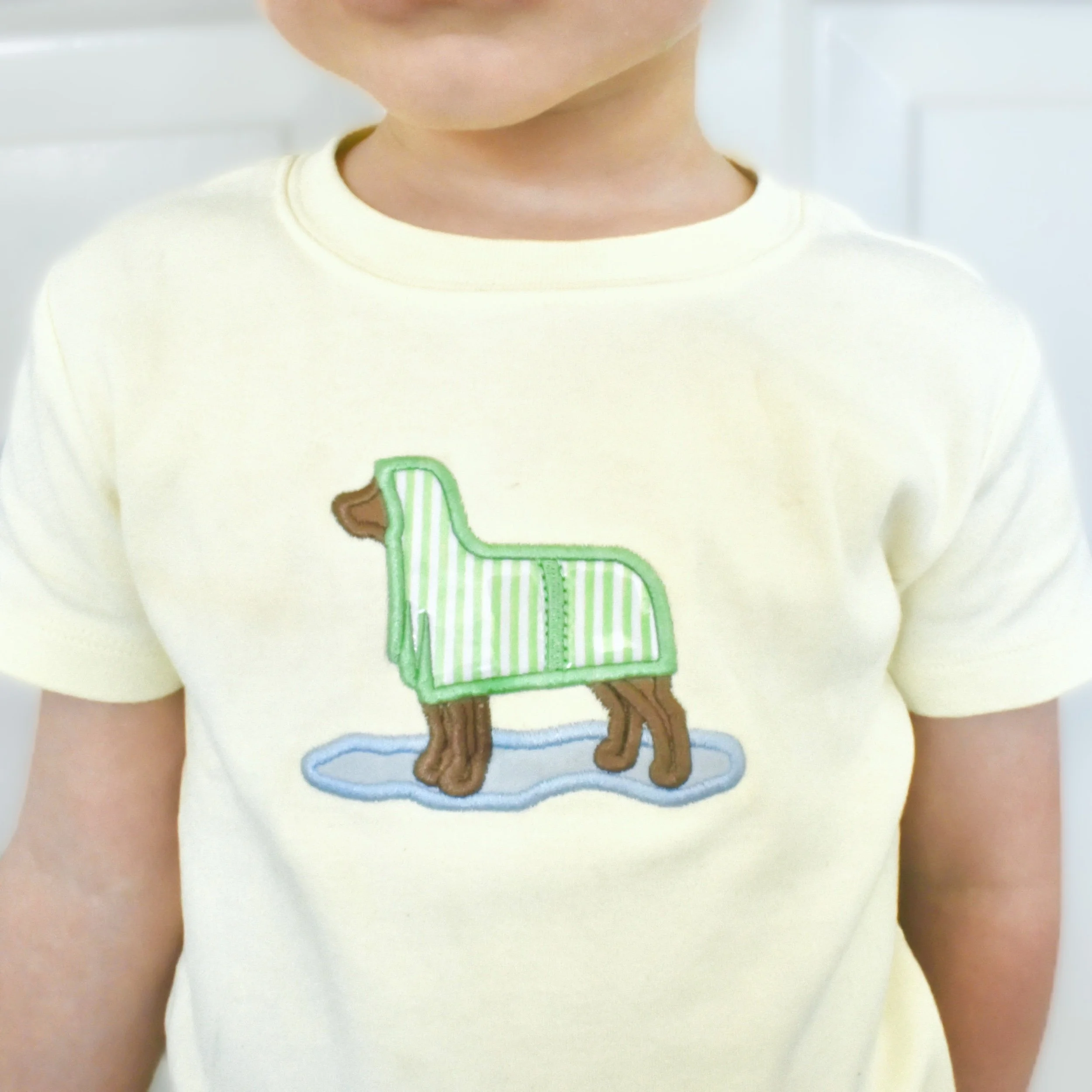 Vinyl Raincoat Dog Tee